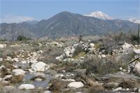 Creek with mountains in background